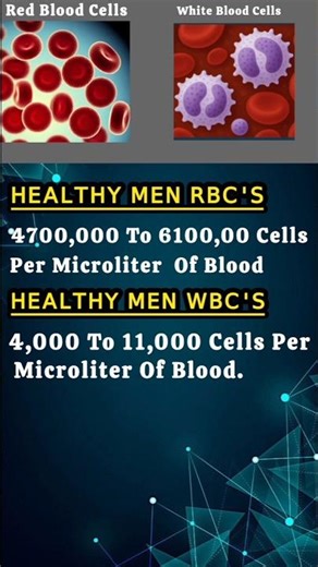 RBCs & WBCs🥺