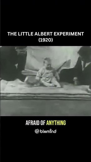 The Little Albert Experiment: The Controversial 1920 Study on Classical Conditioning
