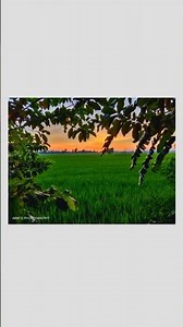 Easy Guide to Adobe snapseed (Photo Editing Tutorial for Beginners) | Fun Friday#photoediting