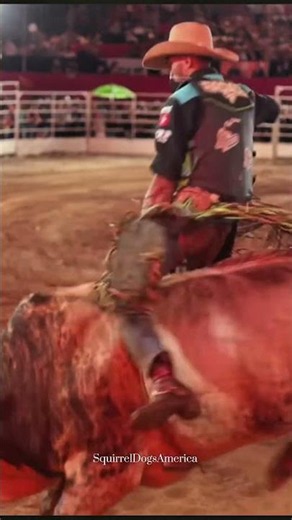 Bull Ride - 90.5 Ride #rodeo #cowboys #bullriding