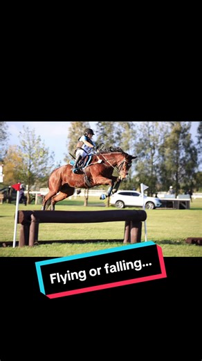 Funny Horse Fail Caught on Camera! Watch the Hilarious Moment! 🤣