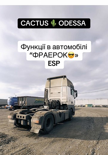 cactus.odessa на TikTok