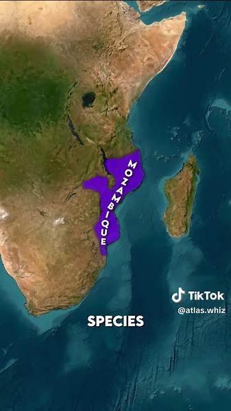 Fun Facts Of Mozambique #mozambique #mozambiquefacts #africa #southafrica #zimbabwe