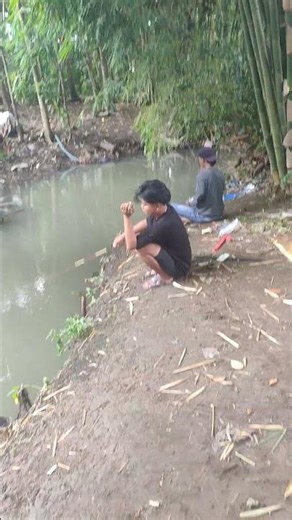 #mancingdisungai #fishing #mancing #mamcingliar #mancingmantap #mancingmania #macingdasaran #