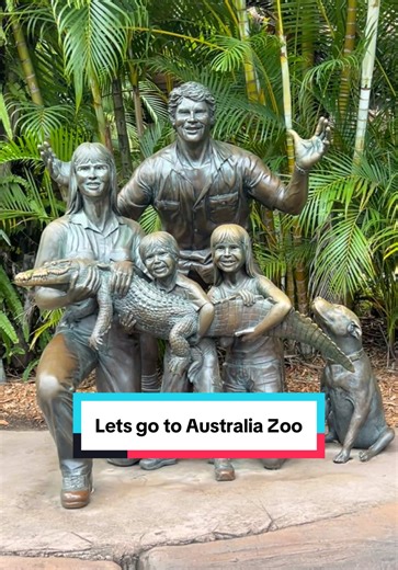 Experiencing Australia Zoo's Amazing Wildlife