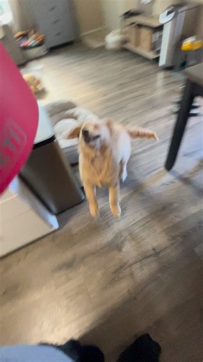 She’s always been so stubborn 🤣 | Comet Olsen