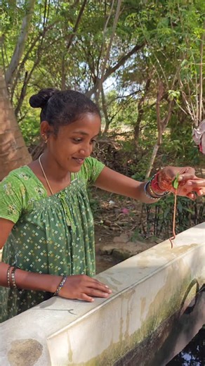 Venu Adventures on Instagram: "My new Pets 🐟"