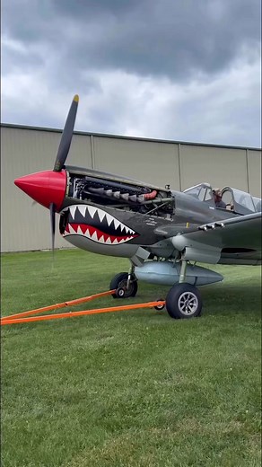 P-40 Warhawk, a workhorse of WWII! Known for its rugged design and reliability, this iconic fighter played a vital role in combat. With a unit cost of around $50,000 during its production era, it was a cost-effective aircraft for its time. Watch this reel to learn how the P-40 made history in the skies! #AviationLegends #WWIIHistory #militaryaircraft #military | Alex Herok Sarkar