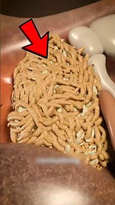 If Worms Crawl Into Your Ear… Don’t Use Cotton Swabs! DO THIS INSTEAD.