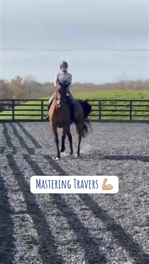 Mastering Travers in Dressage for Improved Performance