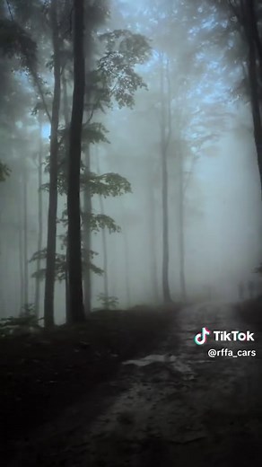 Exploring the Beauty of Fog in Nature
