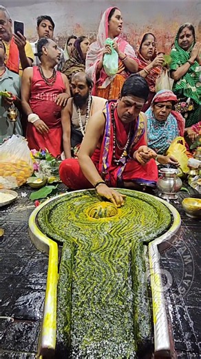 Jai shiv Jai baba baidyanath🙏🕉#shorts#ज्योतिर्लिंग#बाबाधाम#आज का प्रात: कालीन का दिव्य दर्शन🙏 8/7/26