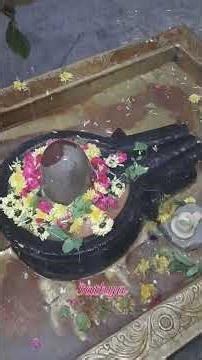 Om Jai Gangadhar #Sundar Jata Kalapam Pavak Yut Bhalam #Shiv Bhajan🕉🔱🌺🙏🌺🙏🌺🙏#SriBhavaniShankar Temple