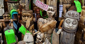 Ending Wildlife Crime to Protect Animals, Human Health, and the Planet