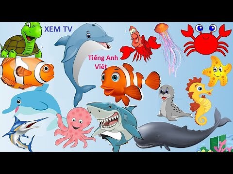 Học Tên Các Con Vật Dưới Biển, Động Vật, Cá | Tiếng Anh Việt