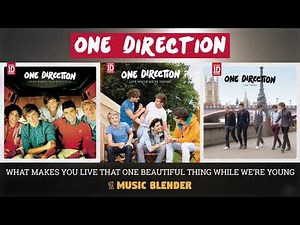 One Direction Mashup (What Makes You Live That One Beautiful Thing While We're Young)
