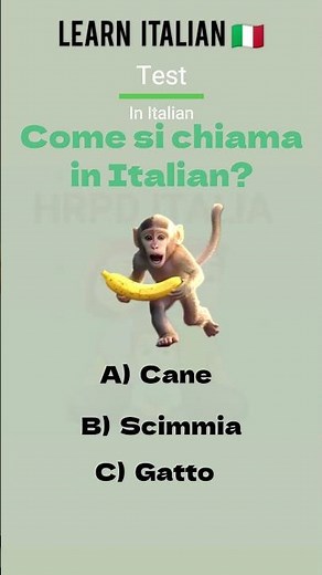 Basic Italian | Easy way to learn Italian Language | Italian lesson For beginners #learnitalia