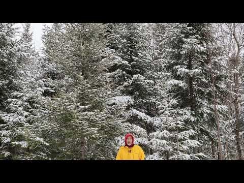 Off grid housing options for you