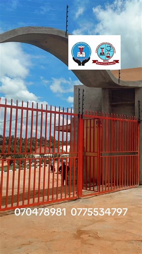 Prioritizing Health in Our Lives