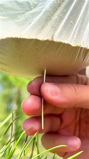 How to Turn Dirty Water Into Cleaner Water 💧😱