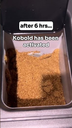 How-to Hub 1| How to start kobold