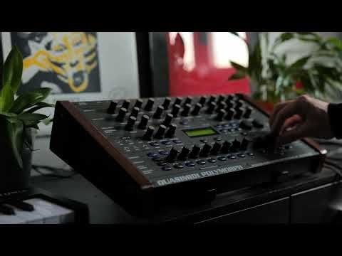 Ambient 5 | Quasimidi Polymorph