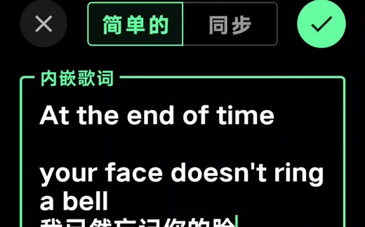 【Musicolet】歌词内嵌演示（详）
