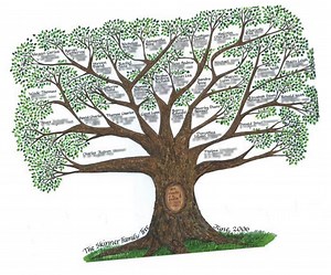 Create Family Tree For download