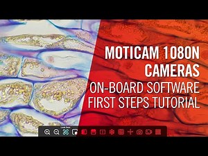 Moticam 1080N cameras On-Board software - First steps tutorial | by Motic Europe