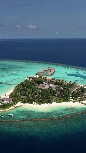 Say hello to paradise beyond your wildest dreams at Outrigger Maafushivaru Maldives. 🌴💙 Thanks for swinging by our #SouthAriAtoll sanctuary in #Maldives @christelledublet! We can't wait to welcome you back again. | Outrigger Resorts