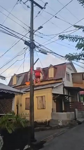 48K views · 296 reactions | Allison Georges on Reels | Facebook