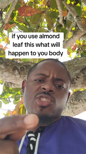 Healing Benefits of Almond Leaves for Your Health