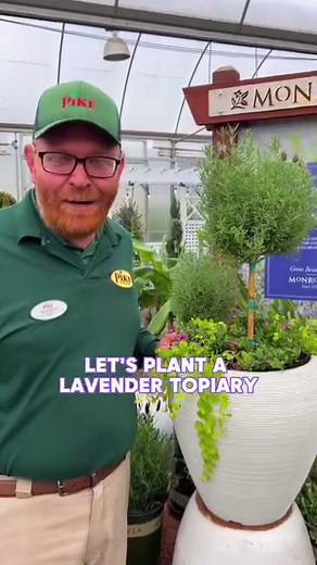 5.8K views · 98 reactions | Lavender Tree – Your New Obsession ✨...