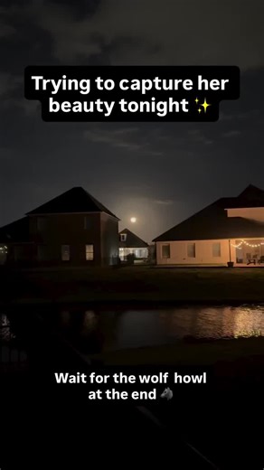 Trying to capture her beauty tonight 🌝 Full Moon 3.3.26 Fun fact: I’m obsessed with the moon... I even named my daughter Luna (& she was born under a full moon ✨) Something about a full moon just feels like horror movie energy. What’s your favorite full-moon horror movie? Let us know below 👇 and tune into Horror Movie Mavens Podcast every Sunday on all majors podcast platforms #stayscary #fullmoonvibes #fullmoonhorror #werewolffullmoon #horrormoviemavenspodcast