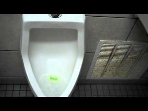 Gerber, AS, Mansfield and Universal Rundle Fixtures at a State Park Marina Public Restrooms