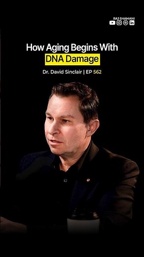 David Sinclair Explains Why Aging Begins With DNA Damage | David Sinclair - Raj Shamani #shorts