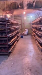 All Time Fun on Reels