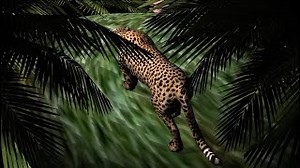 Woods Lyrics - Mac Miller | eLyrics.net