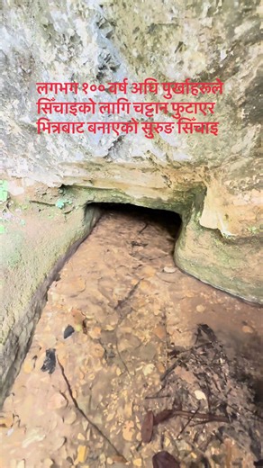 पुरानो technique देखि आधुनिक engineering सम्मको transformation देखाउँदा दमदार लाग्छ। It looks impressive when demonstrating the transformation from traditional techniques to modern engineering.@Satyanarayan Ray273 #cropproduction #engineering #trending #irrigation #oldisgold