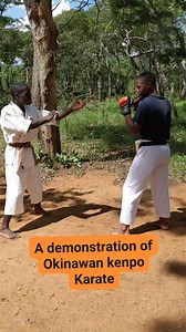 A demonstration of Okinawan kenpo Karate ... The power of karate smotivation #KyokushinKarate #reelstrending #fypviralシ #fitnessmodel #karatecombat #kyokushinkarateka #karatesports | Nathan Chilenga