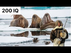 Inuit Hunt A 200 Pound Seal For Family Dinner EP 1 Arctic Survival Documentary