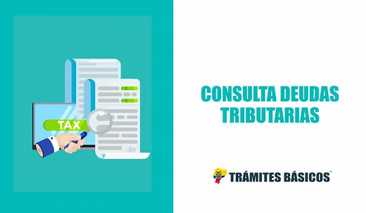 Consulta de deudas SRI y forma de pago (2026)