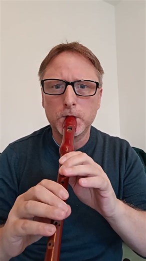 The Tenpenny Bit Irish Jig on Descant Recorder