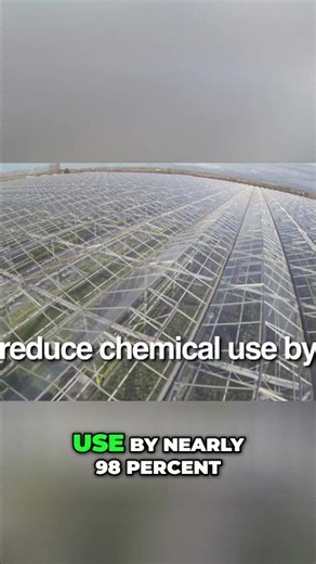 Hydroponics Revolutionizing Farming for a Sustainable Future