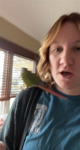 Charlie and Angus Singing Duo - Pet Bird Conure Parrotlet