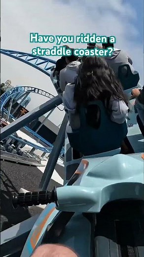 The New Arctic Rescue at SeaWorld San Diego