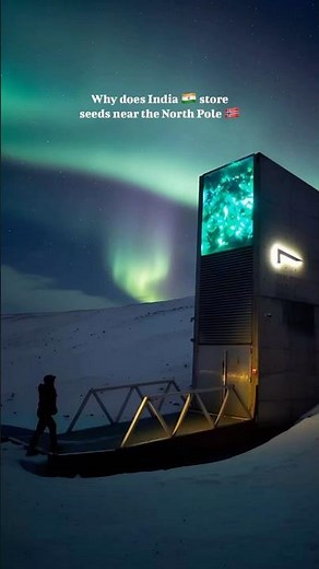 Why Does India Store Seeds in Norway??!! #unrealplaces #travel