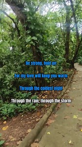 ( HD-KARAOKE ) My Love Will See You Through By: Marco Sison #fypシ゚viralシfypシ゚ #everyonehighlights #MyLoveWillSeeYouThrough | Music Decade's