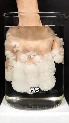 The Smartest Science Experiment You’ll See Today #reels #facts