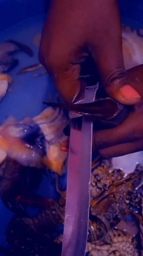 Seafood Preparation Techniques: Handling Lobster and Shrimp